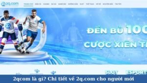 2qcom là gì? Chi tiết về 2qcom cho người mới