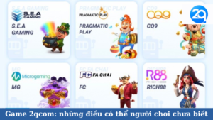 Game 2qcom: những điều có thể người chơi chưa biết