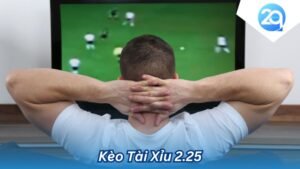 2Q Kèo Tài Xỉu 2.25: Cẩm Nang Chi Tiết Cho Người Mới Bắt Đầu