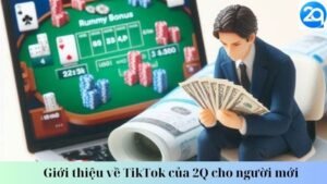 Giới thiệu về TikTok của 2Q cho người mới