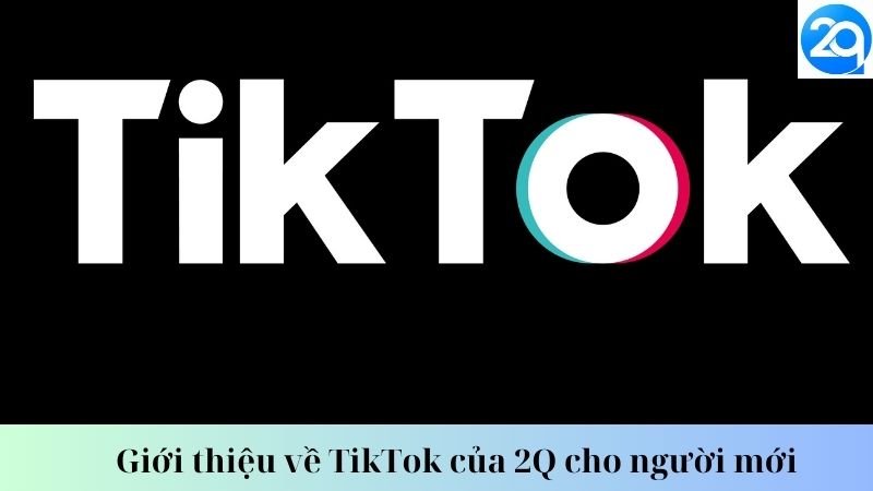 tiktok-cua-2q-2