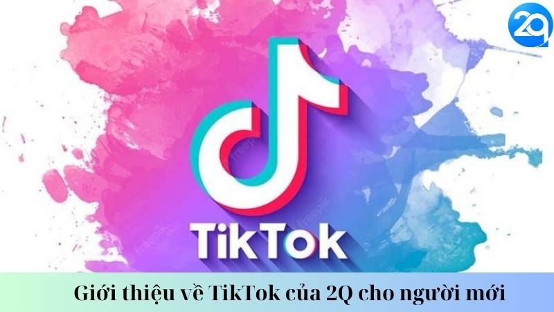 tiktok-cua-2q-1