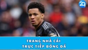 trang nha cai truc tiep bong da